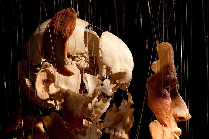 Ticket Expo Body Worlds in Bruges, Belgium - Notable Visitor Experiences