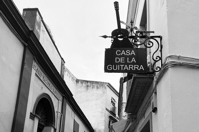 Ticket for the Flamenco Guitar Show at Casa De La Guitarra - Accessibility for All Visitors
