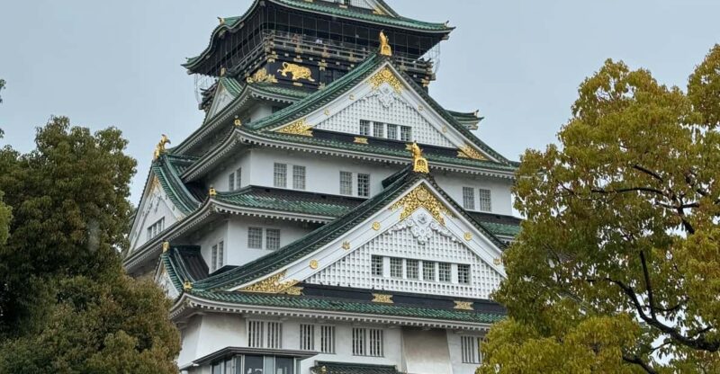 (Ticket Included) Explore Osaka Castle & Museum of History - Highlights of Osaka Museum of History