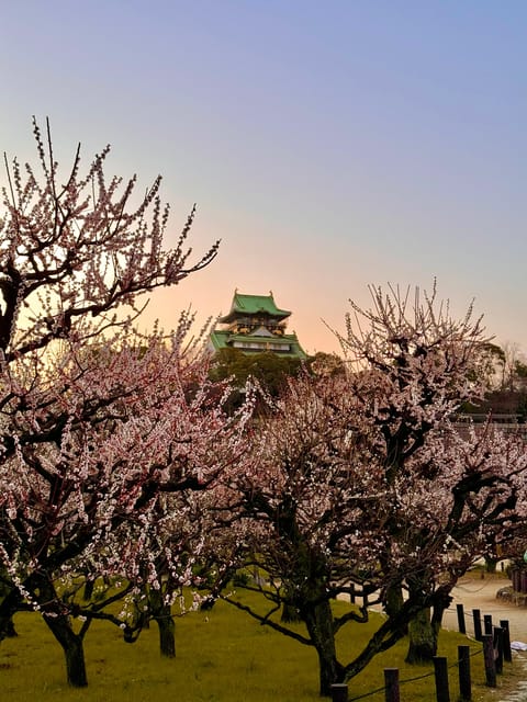 (Ticket Included) Explore Osaka Castle & Museum of History - Exploring Osaka Castle Museum
