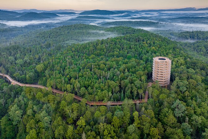 Ticket to Mont Tremblant Treetop Observatory and Walk - Whats Included in the Ticket