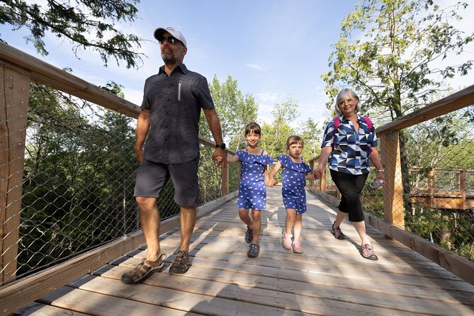 Ticket to Mont Tremblant Treetop Observatory and Walk - Accessibility and Accommodations