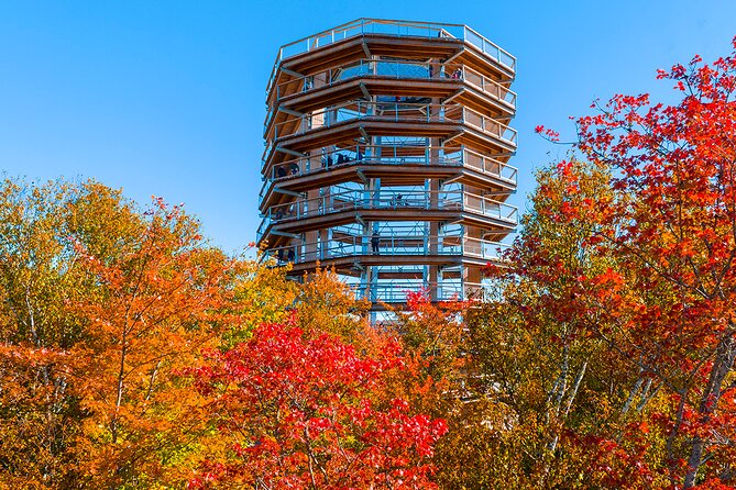 Ticket to Mont Tremblant Treetop Observatory and Walk - Participant Eligibility