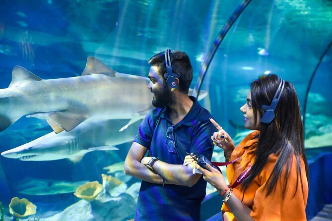 Ticket to the Largest Oceanarium of the Mascarene Islands - Visiting Hours and Accessibility