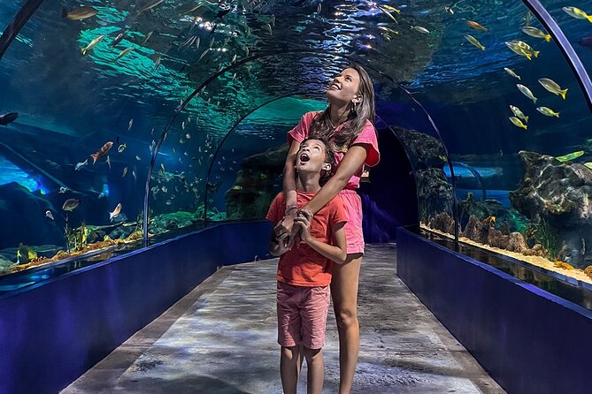 Ticket to the Largest Oceanarium of the Mascarene Islands - Educational Highlights
