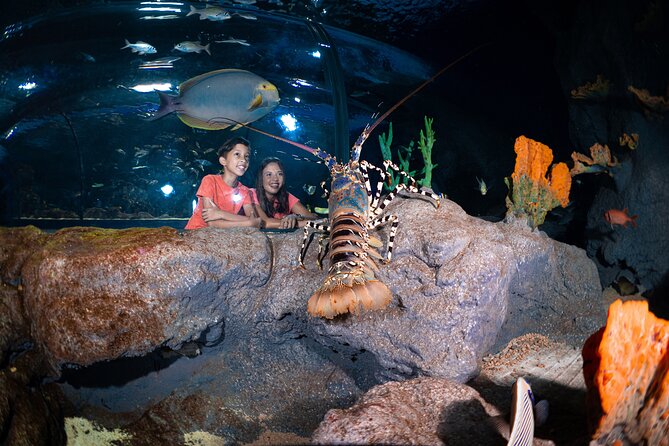 Ticket to the Largest Oceanarium of the Mascarene Islands - Family-Friendly Experience