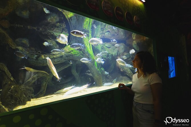 Ticket to the Largest Oceanarium of the Mascarene Islands - Transportation and Parking