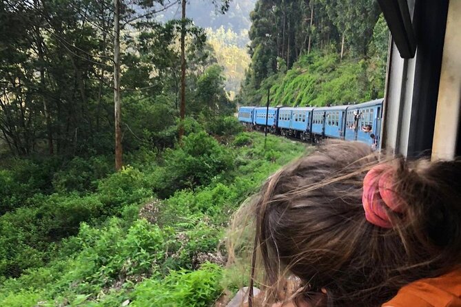 Tickets for Ella to Kandy Scenic Train Journey ( Reserved Seats) - Review and Rating Summary