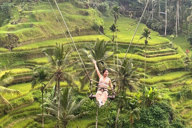 Tickets Inclusive: Ubud Wonder-Full Day Tour - Monkey Forest
