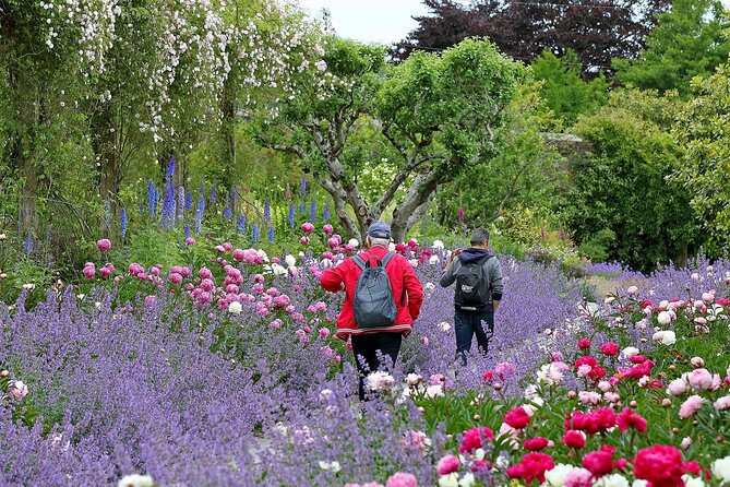 Tickets to Explore Irelands Global Garden - Ticketing and Pricing
