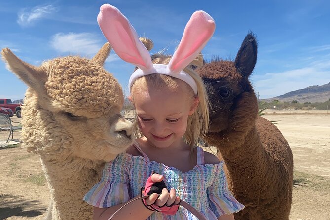 Tickets to Nature Health Farms Petting Zoo, Antique Store & Hemp Farm in Pahrump - Key Points