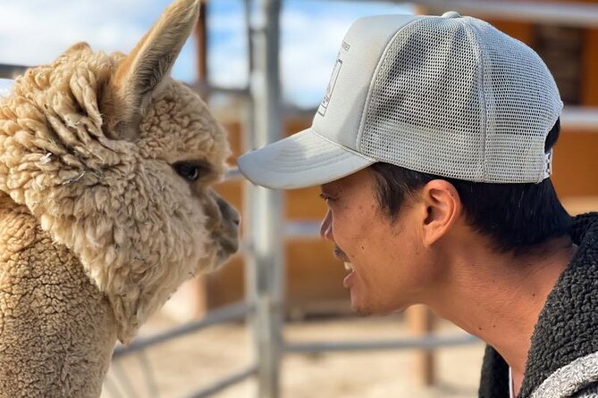 Tickets to Nature Health Farms Petting Zoo, Antique Store & Hemp Farm in Pahrump - Discovering the Hemp Farm