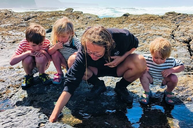 Tide Pool Safari in Monte Clérigo Beach - Participant Information