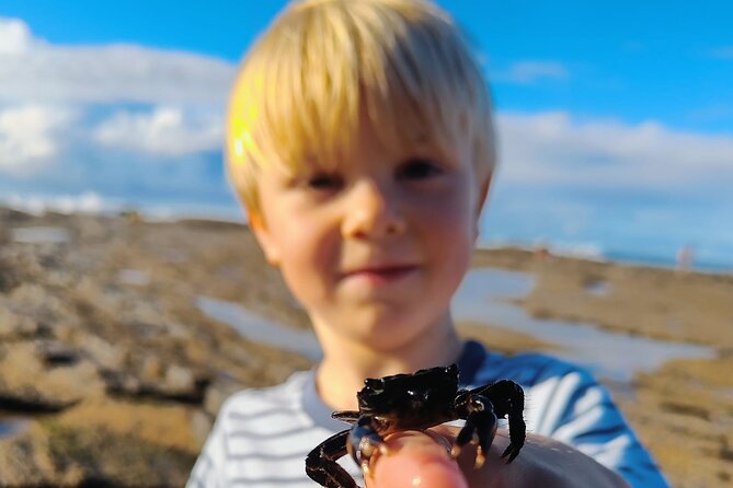 Tide Pool Safari in Monte Clérigo Beach - Reviews