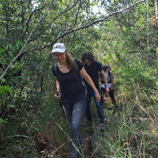 Tien Son Dinh 1-Day Trekking Tour Phu Quoc - Key Points