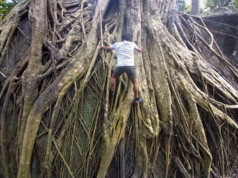 Tien Son Dinh 1-Day Trekking Tour Phu Quoc - Difficulty and Suitability