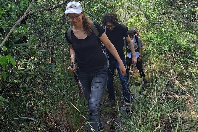 Tien Son Dinh 1 Day Trekking Tour Review - Trekking Experience