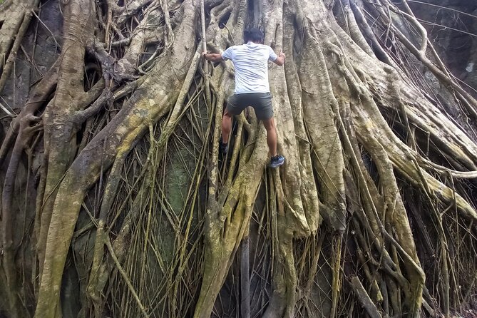 Tien Son Dinh 1 Day Trekking Tour Review - Recap