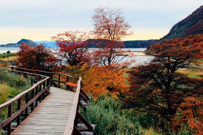 Tierra Del Fuego National Park - Scenic Views and Historical Context