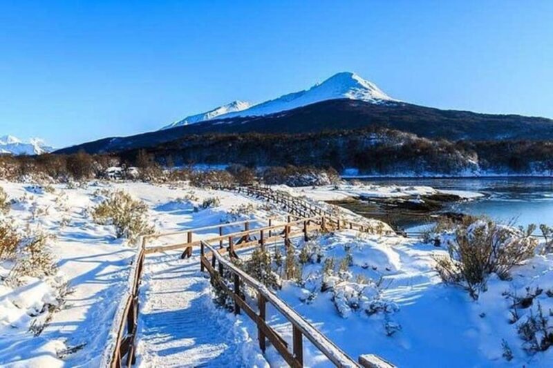Tierra Del Fuego: National Park & End of the World Train - Retracing the End of the World Train