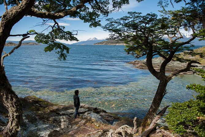 Tierra Del Fuego National Park for Cruise Travelers With Fee - Tour Duration and Confirmation