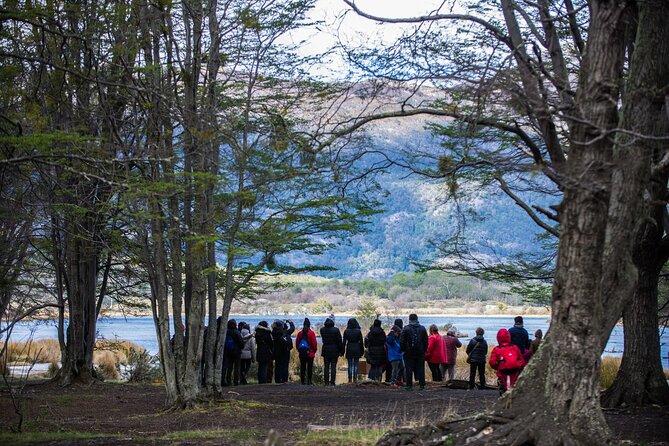 Tierra Del Fuego National Park for Cruise Travelers With Fee - Customer Feedback and Ratings