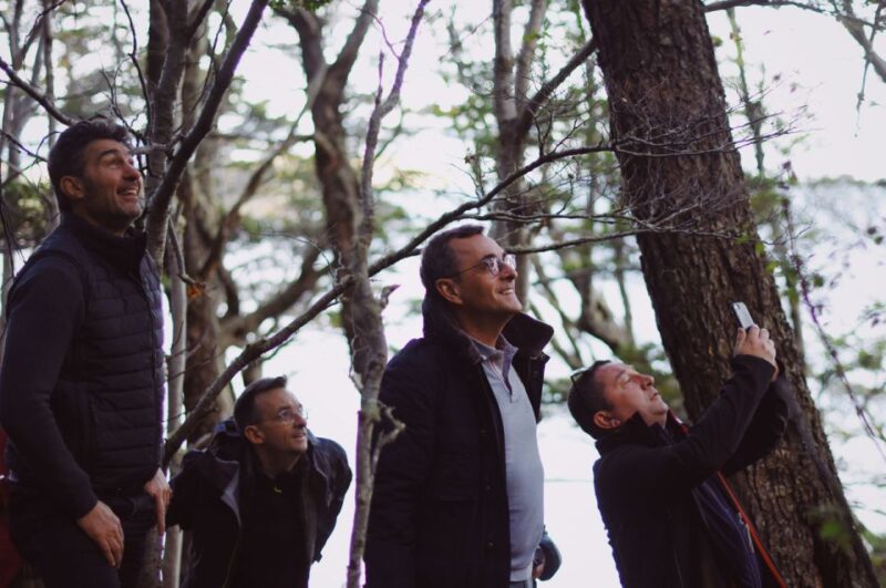 Tierra Del Fuego National Park - Half Day Tour - Language Options