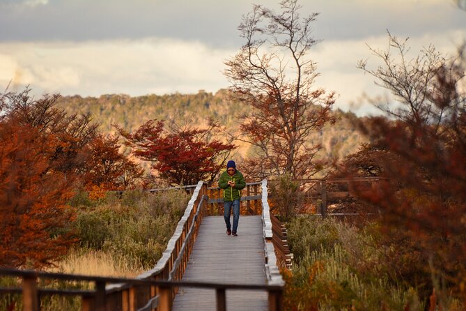 Tierra Del Fuego National Park PM - With Dinner Included - Guided Hiking Experience