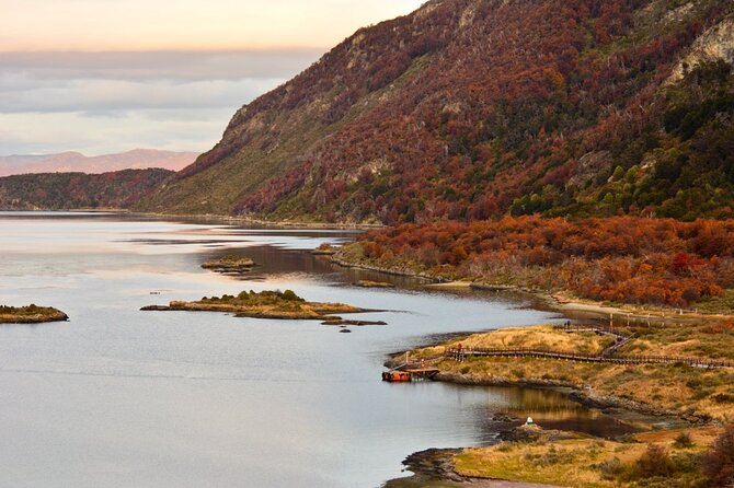 Tierra Del Fuego National Park PM - With Dinner Included - Accessibility and Medical Considerations
