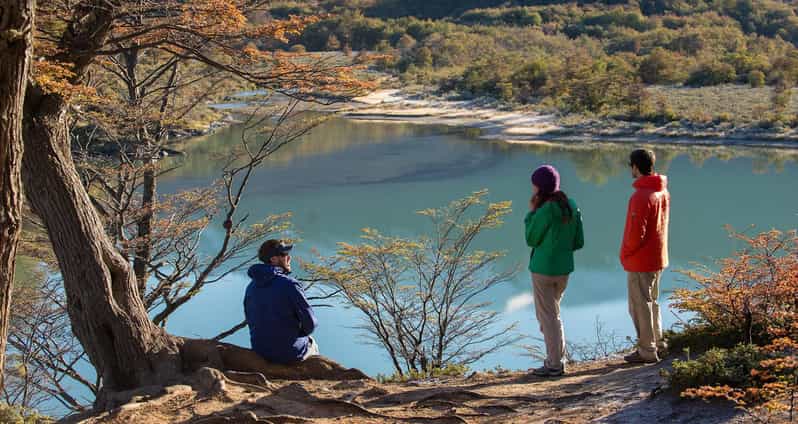 Tierra Del Fuego National Park: Small Group Tour With Lunch - Itinerary and Highlights