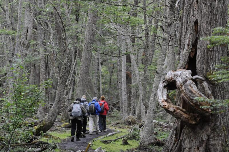 Tierra Del Fuego National Park: Small Group Tour With Lunch - Participant Requirements