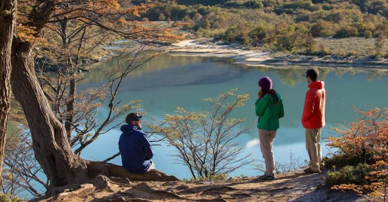 Tierra Del Fuego National Park: Small Group Tour With Lunch - Customer Reviews and Ratings