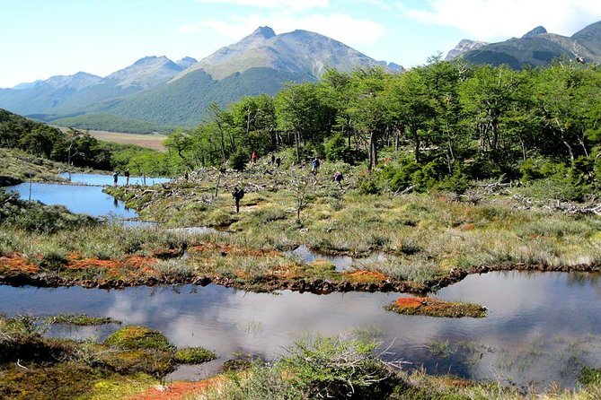 Tierra Del Fuego National Park With Lapataia Bay From Ushuaia - The End of the World Train