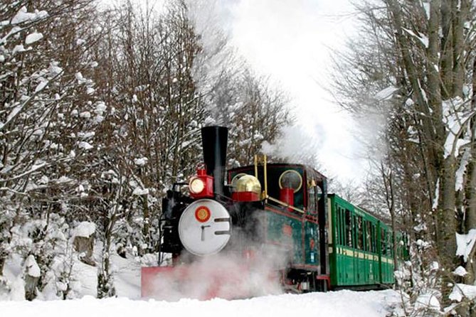 Tierra Del Fuego National Park With the End of the World Train - Highlights of the National Park Tour