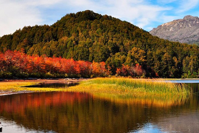 Tierra Del Fuego National Park With the End of the World Train - Customer Feedback and Recommendations