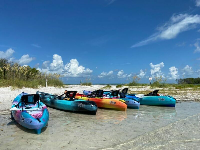 Tierra Verde FL: Coastal Kayaking Tour in Shell Key - The Sum Up: Is It Worth It?