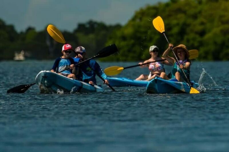 Tierra Verde: Kayak Tour at Shell Key with Capt Yak - Key Points