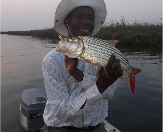 Tiger Fishing- Komati River, Mpumalanga - 1 Day - Departure and Arrival