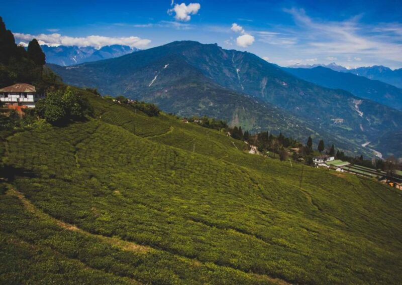Tiger Hill Darjeeling Nature Walk (3 Hours Guided Tour) - Experience Highlights