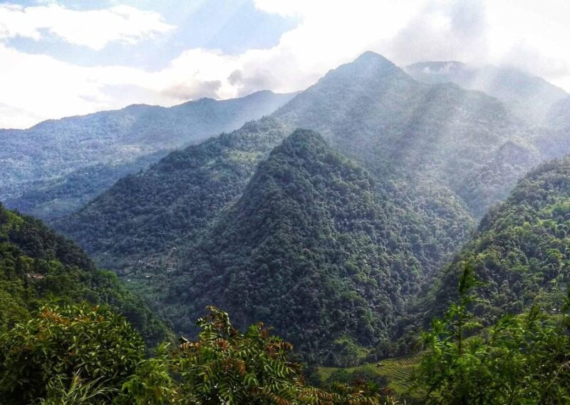 Tiger Hill Darjeeling Nature Walk (3 Hours Guided Tour) - Tour Inclusions