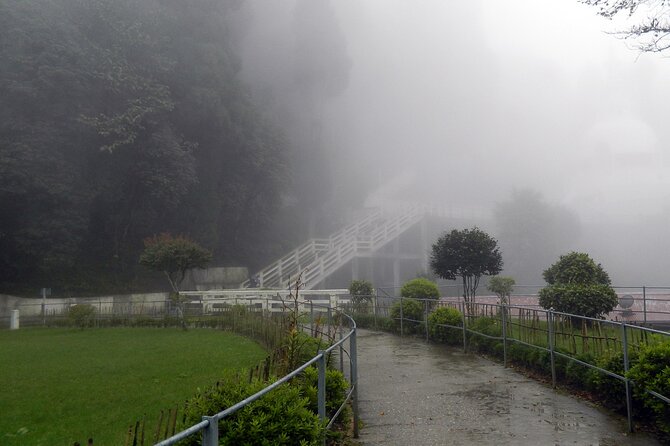 Tiger Hill Darjeeling Nature Walk (3 Hours Guided Trekking Experience) - Insights Into Local History, Culture, Flora, and Fauna