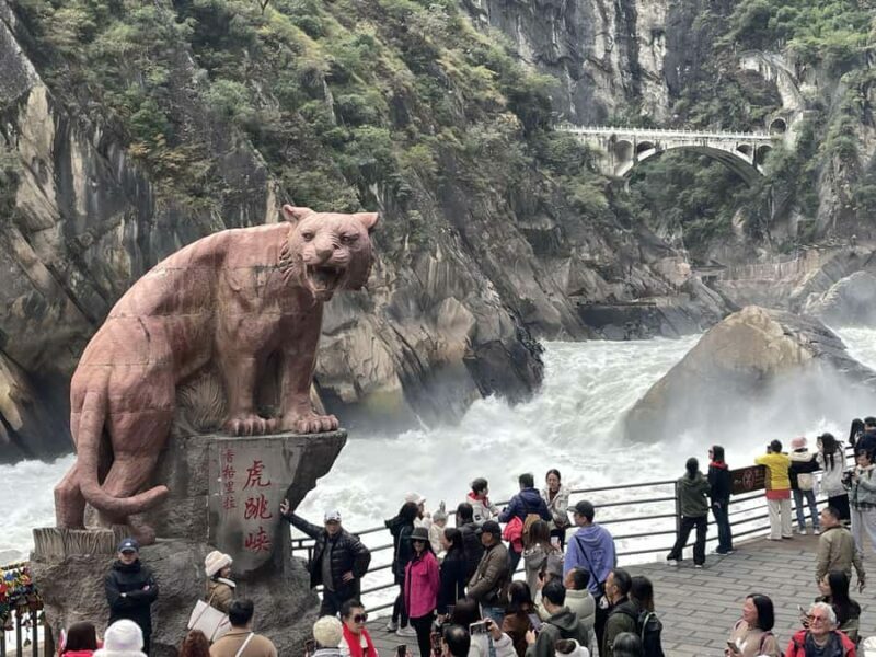 Tiger Leaping Gorge Easy Hike & Baisha Old Town Day Tour - What the Tour Means for You