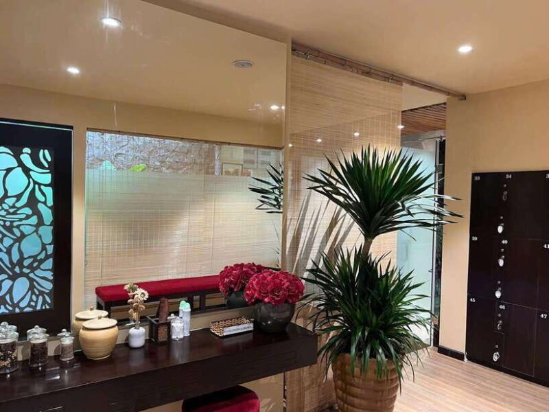 Tigon Spa: VIP 1- 120 Minutes Massage and Hair Wash - Experience Details