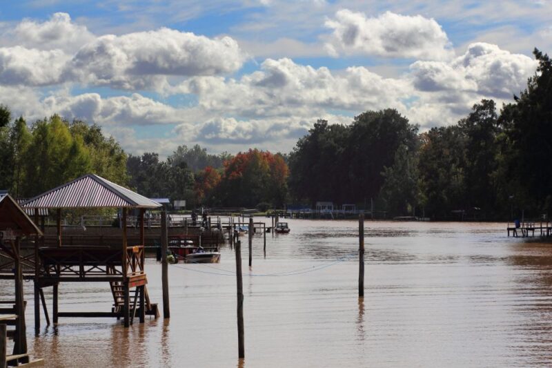 Tigre: 1-Hour River Delta Panoramic Boat Tour - Experience Highlights