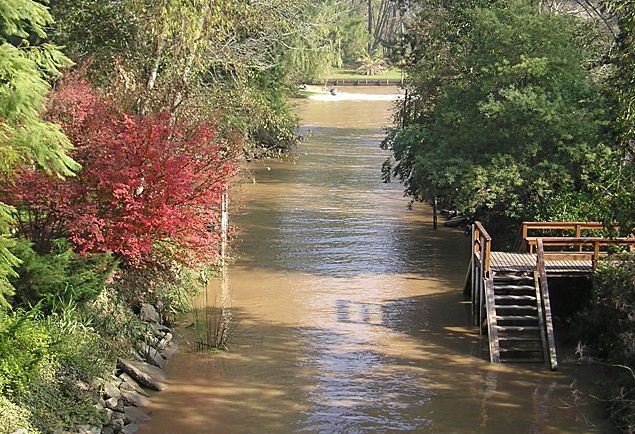 Tigre and Delta Full Day Tour With Lunch in Tigre - Important Information