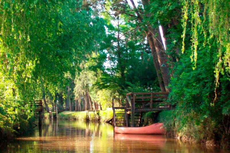 Tigre Full Day Tour With Lunch in Tigre and Return Sailing - Included Services