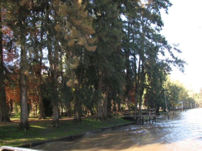 Tigre Full Day Tour With Lunch in Tigre and Return Sailing - Customer Reviews