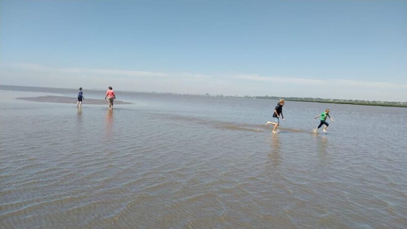 Tigre: Nautical Safari in Tigre/ Biosphere Reserve Boat Tour - Ecotourism and Culture