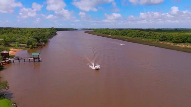 Tigre: Nautical Safari in Tigre/ Biosphere Reserve Boat Tour - Pricing and Booking