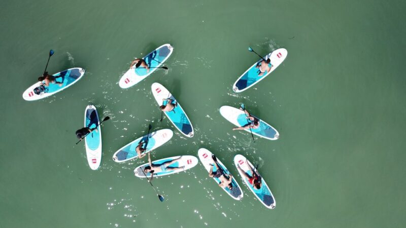 Tihany: Stand Up Paddleboarding Course at Lake Balaton - Detailed Course Structure